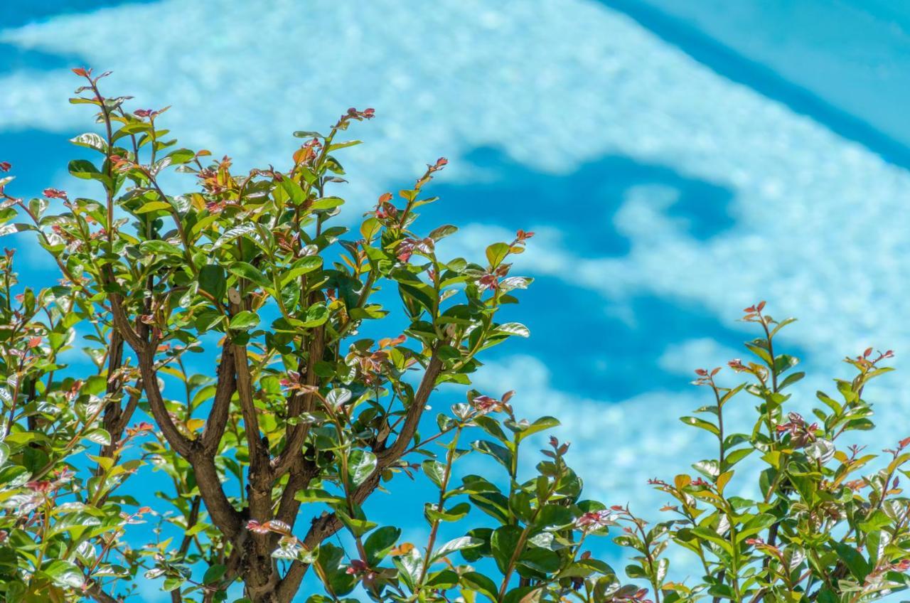 Ferienwohnungen Sonnenburg Caldaro Ngoại thất bức ảnh